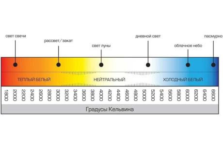 Купить Светильник аккум. FERON  EL56  6LED/0 8W  зеленый  AC  355*145*25мм  Зап.Выход Ni-Cd бат.  32552 фото №3