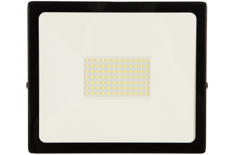 Купить Прожектор LED Smartbuy 100W/6500K/IP65 SBL-FLLight-100-65K фото №1